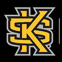 631411-kennesaw_state_brand_guide_book