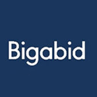 644128-bigabid_brand_guidelines