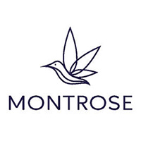 655641-montrose_brand_guidelines