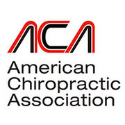 ACA_American_Chiropractic_Association_Corporate_ID_Manual-0001-BrandEBook.com