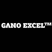 BrandEBook.com-Gano_Excel_Brand_GuideLines-0001