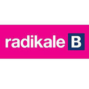 BrandEBook.com-Radikale_Venstre_Identity_Guidelines_2010-0001