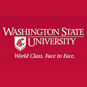 BrandEBook.com-Washington_State_University_Brand_Identity_System-0001