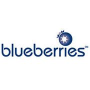 BrandEBook_com_blueberries_brand_guide_-1