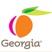 BrandEBook_com_georgia_governor_s_office_of_customer_service_brand_standards_manual_01