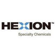 BrandEBook_com_hexion_corporate_design_guidelines_-1
