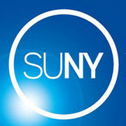 BrandEBook_com_suny_the_state_university_of_new_york_brand_guidelines_-1
