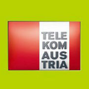 BrandEBook_com_telekom_austria_ci_manual_-1