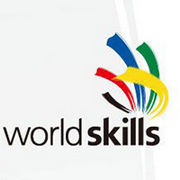 BrandEBook_com_world_skills_visual_identity_guidelines_-1