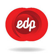 EDP_Brand_Manual_2013-0001-BrandEBook.com