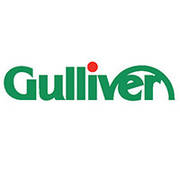 Gulliver_VI_manual-0001-BrandEBook