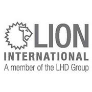 Lion_International_Corporate_Design_Guidelines-0001-BrandEBook.com