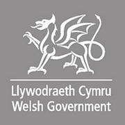 Llywodraeth_Cymru_Welsh_Government_Logo_brand_guidelines-0001-BrandEBook