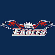 Northeast_Texas_Community_College_Eagles_Athletics_Brand_Guide-0001-BrandEBook.com