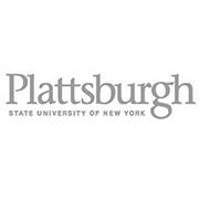 Plattsburgh_State_University_of_New_York_Graphic_Standards_Guidelines-0001-BrandEBook.com