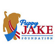 Puppy_Jake_Foundation_Brand_Identity_Guidelines-0001-BrandEBook