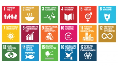 Sustainable Development Goals Guidelines For The Use