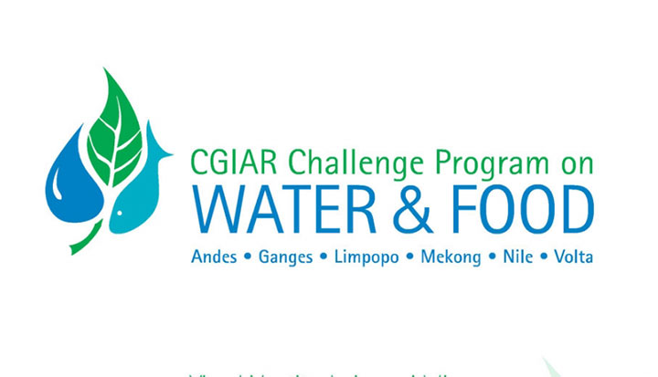 Cgiar Challenge Program on Water and Food visual identity system