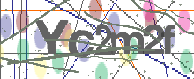 キャプチャ画像